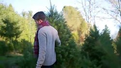 A young man carries a Christmas tree through the farm, wife and daughter following Stock Footage