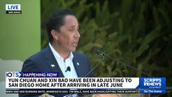 They're here! First giant pandas from China in decades make their public debut in San Diego News Clip