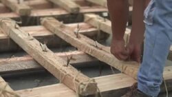 CLEAN : Ecuadorans build pollutant-absorbant rafts to decontaminate estuary News Clip