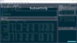 R Programming for Statistics and Data Science - Indexing and Slicing a Data Frame in R Instructional Video