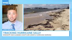 Newsy's Latest Headlines News Clip