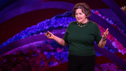 TED: How to heal a divided world | Michèle Lamont Instructional Video