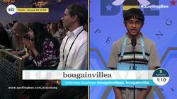 8 winners make history at 2019 Spelling Bee  News Clip