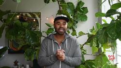 The Plant Doctor | Caring For Your Rattlesnake Plant Instructional Video