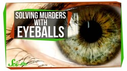 Victorian Pseudosciences: Solving Murders with Eyeballs Instructional Video