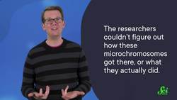 The Chromosomes Hiding in Specks of Lint Instructional Video