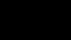 CLEAN : Millas collision trial: Lawyer for bus driver describes 'collapsed' woman News Clip