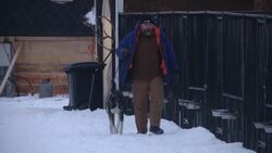 Protectores de animales preocupados mientras crece turismo de trineo  News Clip