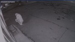 Caught on camera: Person seen taking down Israeli flag from Rockland County business News Clip