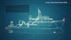 Passport to Discovery - Inside a ship's construction Instructional Video