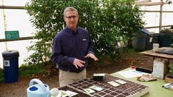 How to Grow Vegetables Indoors for Transplanting Instructional Video