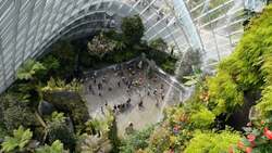 Singapore Climate Instructional Video