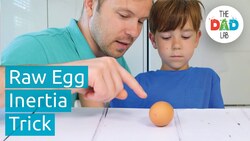 Understanding Inertia Using Eggs Instructional Video