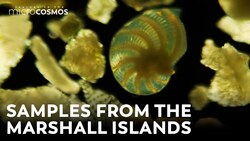 Mysteries from a Nuclear Test Site Instructional Video