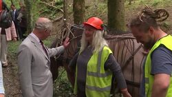 Prince of Wales visits Llantrisant woodland News Clip