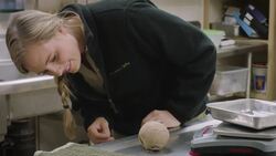 This Adorable Baby Armadillo Has Trouble Waking Up in the Morning Instructional Video