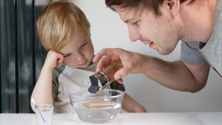 Science Trick: Cinnamon and Water Instructional Video