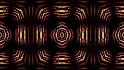 Zebra stripe pattern fantasy animation Stock Footage