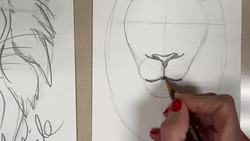 Lion Head Drawing  Quick Live Demo Instructional Video