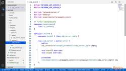 Multi-Paradigm Programming with Modern C++ - Dual Hierarchy Example Instructional Video