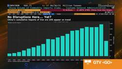 Citigroup Commodities Strategist Tracy Liao on Steel Output Cuts News Clip