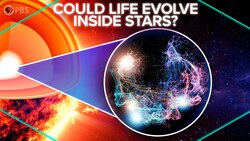 Could Life Evolve Inside Stars? Instructional Video