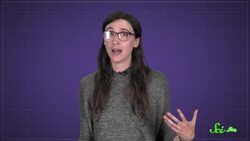 Why Do Cats Like Catnip? Instructional Video