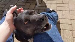 Das ist mein Haus. – A House Tour in German Instructional Video