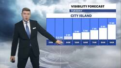 Cloudy Tuesday in the Bronx; scattered showers on Wednesday Instructional Video
