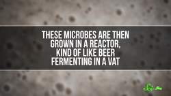 Animal-Free Animal Products With Cellular Agriculture Instructional Video