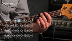 How to Play an E Minor Scale on Bass Guitar Instructional Video