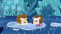 Hedgie Puddles Instructional Video