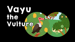 What vultures do? Instructional Video