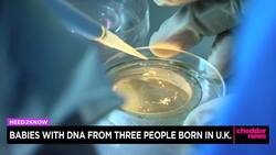 1st Babies Born in Britain Using DNA From 3 People News Clip