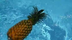 Pineapple Floating In blue Water In Swimming Pool. Healthy Raw Organic Food. Juicy Fruit. Vegetarian, Vegan Nutrition, Vitamins, Diet, summer holidays, vacation concepts. Exotic tropical background Stock Footage
