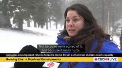 Homeless encampment returns to Notre-Dame Street as Montreal shelters reach capacity News Clip