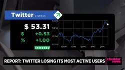 Twitter Losing Record Number of Active Users News Clip
