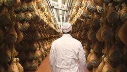 In a ham factory, a man in charge of quality control walks between the hams and controls, the perfume and the certified Italian quality. Stock Footage