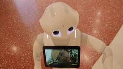 Anti-COVID robots in a Bangkok shopping mall News Clip