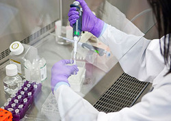 Chemical synthesis Instructional Video