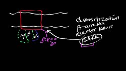 Terminating a G protein Coupled Response Instructional Video