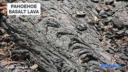 Early Earth Microbes May Have Eaten Raw Meteorites Instructional Video