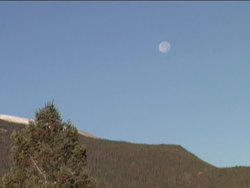 What Do Living Things Need?: Air Instructional Video