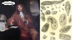 Introduction to the Microbial World Instructional Video