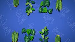 I WONDER - Can House Plants Reduce Air Pollution?
 Me Pregunto - Pueden Las Plantas De Interior Reducir La Contaminación Del Aire? Instructional Video