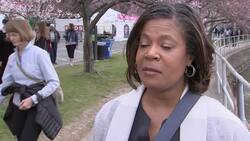 DC cherry blossoms draw visitors as blooms peak Instructional Video