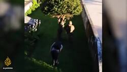 Amnesty: 22 killed, 2,000 injured in Chile's protest crackdown News Clip