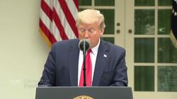 Trump suspends WHO funding, touts plan to restart economy News Clip