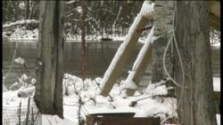 Poll workers crossed Yukon River by helicopter to ensure residents could vote News Clip