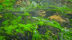 Chatsubomigoke Park at Nakanojo, Gunma, Japan Stock Footage